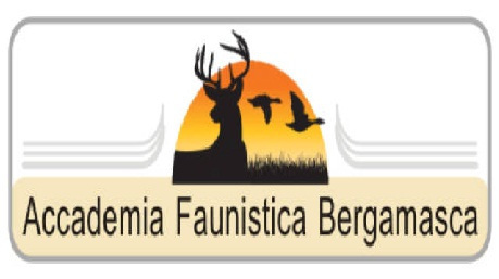 Accademia Faunistica Bergamasca